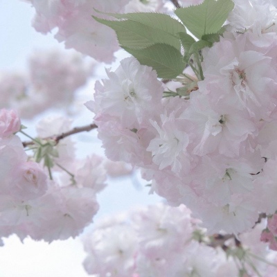 兽设天空场景设计Furry群